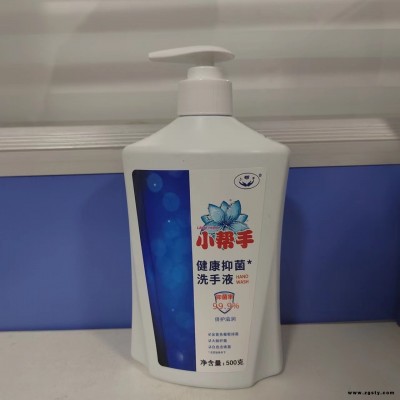 洗手露批发500ML瓶装 清洁滋润抑菌芦荟清香洗手液 厂家OEM现货代工