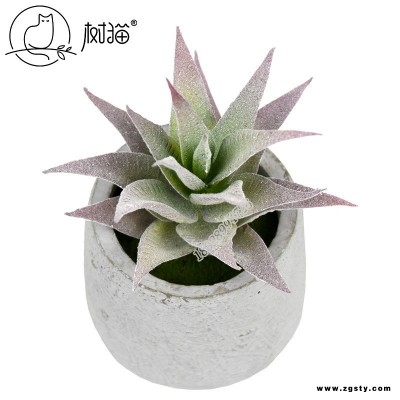 树猫仿真植毛多肉植物ban马芦荟室内装饰盆栽微景观diy盆景