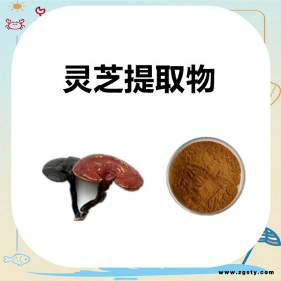 灵芝提取物  喷雾干燥 浓缩粉末