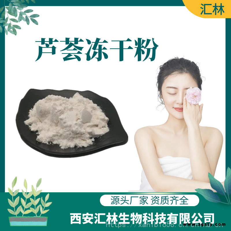 芦荟凝胶冻干粉 200:1 库拉索芦荟 凝胶浓缩精华冻干粉末 原料