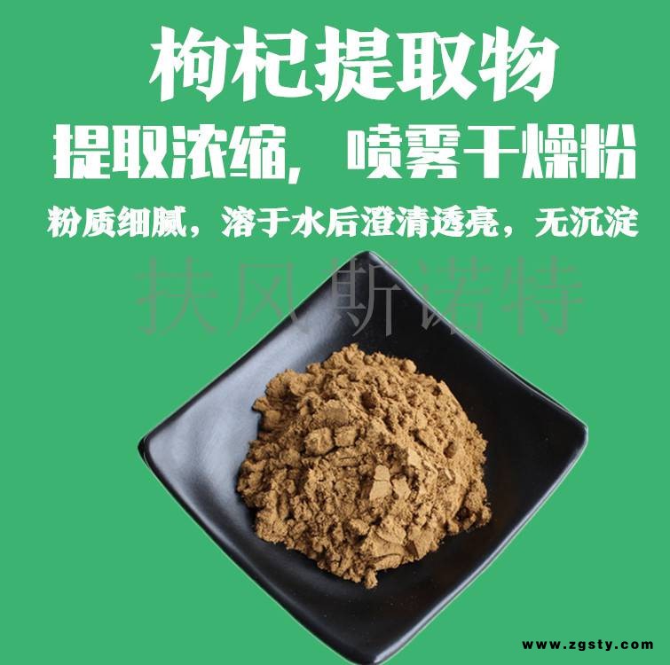 枸杞提取物 水提浓缩喷雾干燥工艺 枸杞多糖 棕黄色精细粉末