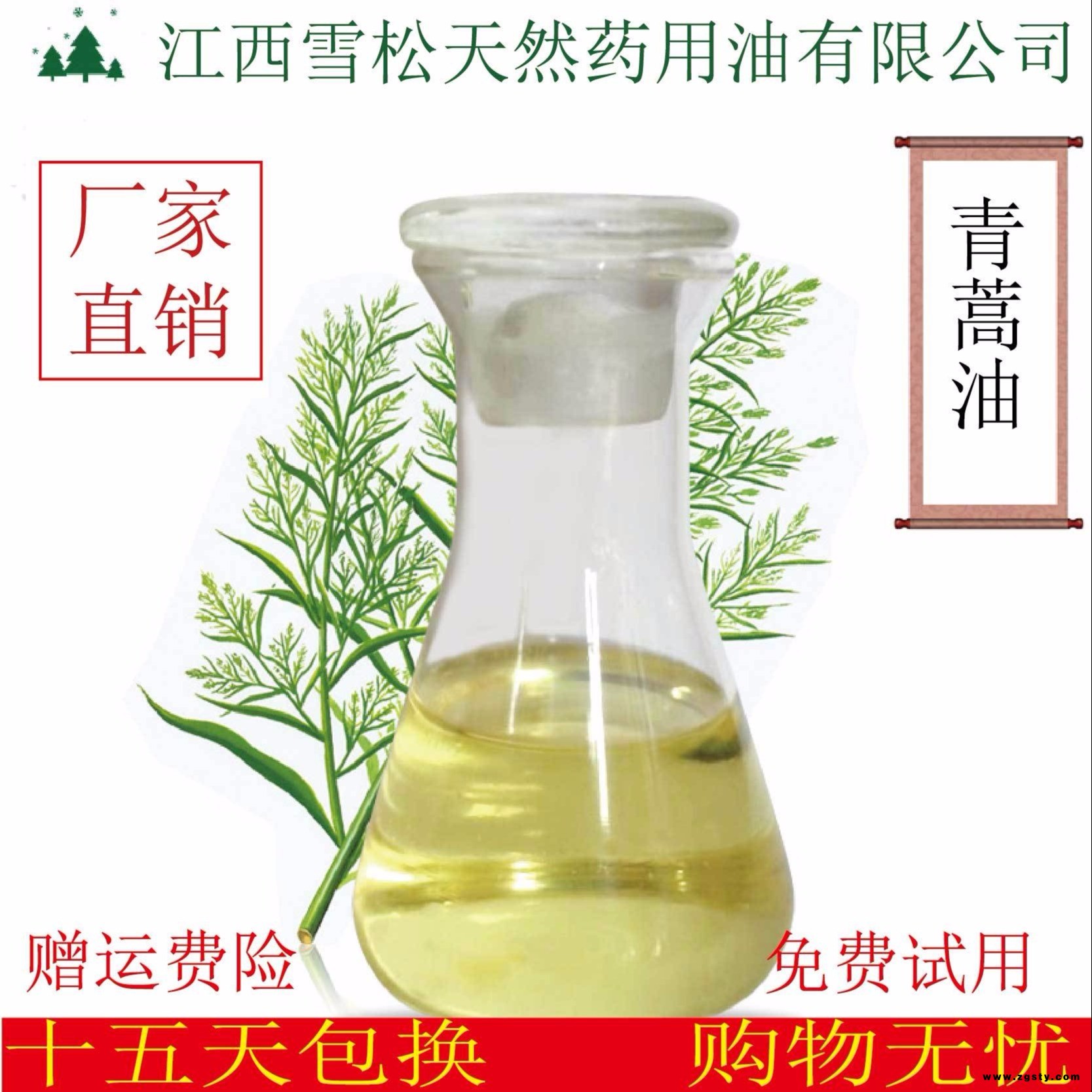 芦荟油 厂家批发 天然植物提取芦荟精油 江西雪松现货供应