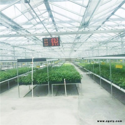 寿光芦荟养殖大棚 钢管链接蔬菜大棚施工方案 草莓种植温室大棚 旭航温室8