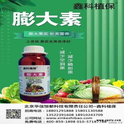 草莓病 番茄叶枯病 草莓细菌病害有那些 重茬种植 大棚西瓜栽培技术 解药害的比较好药 芦荟烂根处理图解 治根腐病的药