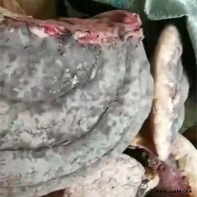 六顺堂 树芝 树舌 皂角菌 盖灵芝 扁芝 赤色老母菌 西洋参 花旗参 红参直销