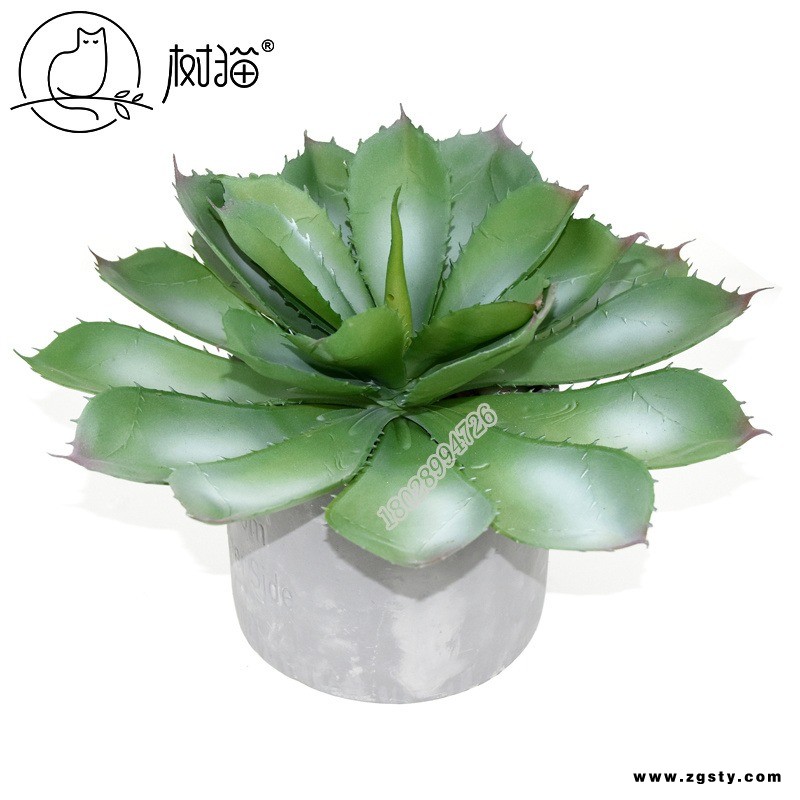 猫大型仿真多肉植物36cm圆角芦荟植物墙配材家居装饰塑胶花