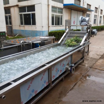 新鲜芦荟气泡清洗机 芸豆气泡清洗流水线 豆角清洗设备