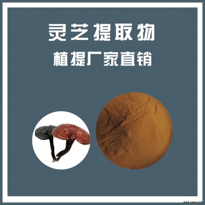 鑫茂源现货供应 灵芝提取物 水溶粉 三秀提取物