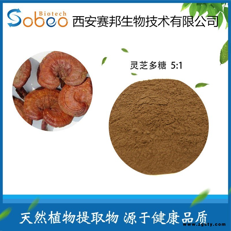 优质灵芝提取物 灵芝多糖5:1 子实体提取 量大从优 现货包邮