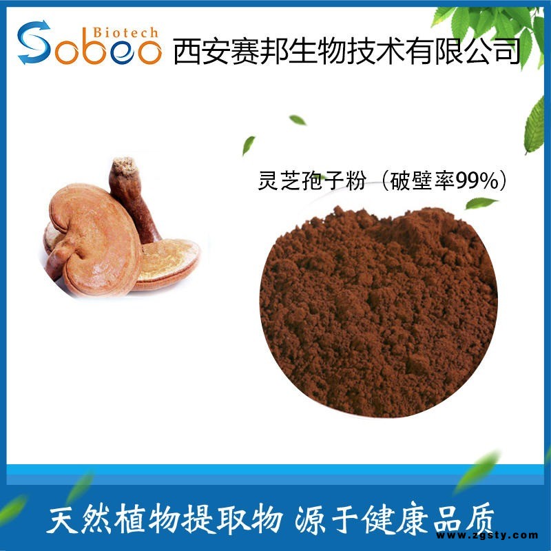 灵芝孢子粉 灵芝提取物 破壁率99% 厂家直销 量大从优