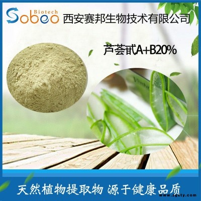 芦荟提取物 芦荟甙A+B2% 芦荟苷/芦荟素原料 现货包邮