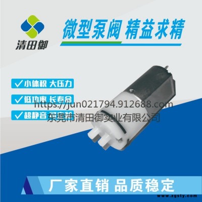 130吸黑头仪真空泵 成人用品真空泵 DC3-24V迷你吸气泵 东莞清田御厂家大量供应