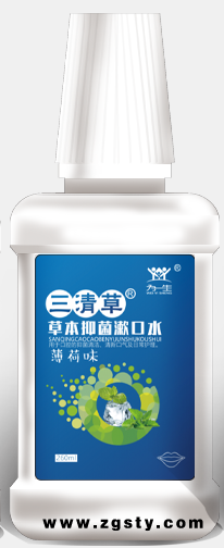 漱口水薄荷味