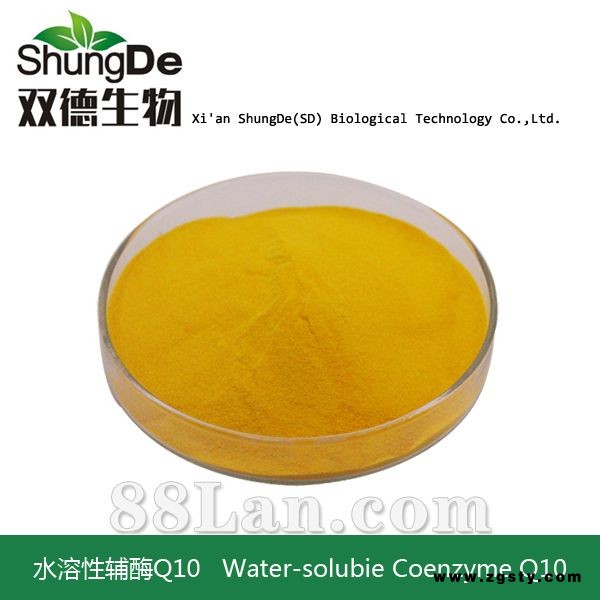 辅酶Q10