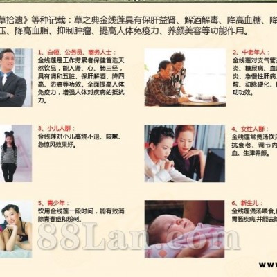福建金线莲——抑制***，提高免疫力