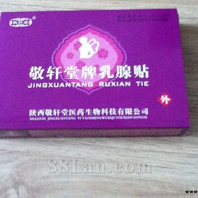 敬轩堂牌乳腺贴