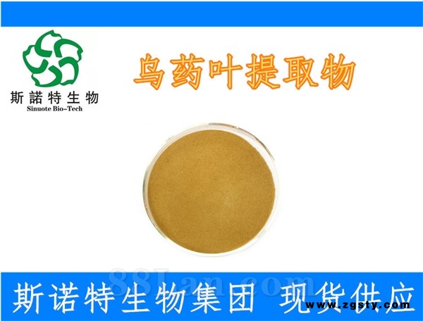 乌药叶提取物 水溶性99% 有效成分含量高 斯诺特生产厂家