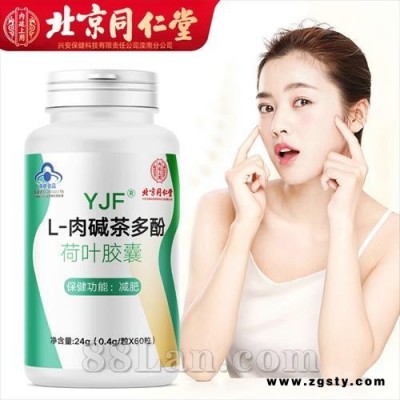 北京同仁堂L-肉碱茶多酚荷叶胶囊