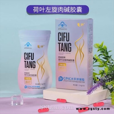 荷叶左旋肉碱胶囊