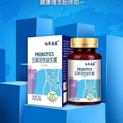 复合益生菌片现货批发招商代发 免疫球白粉