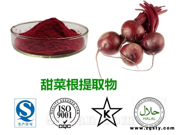 甜菜根提取物 根汁浓缩粉 99%水溶 天然植物原料 斯诺特厂家