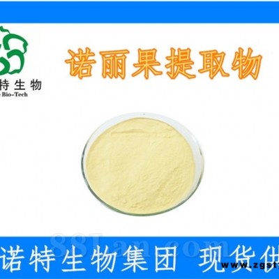 诺丽果提取物 速溶粉 99%水溶性 有效成分酵素