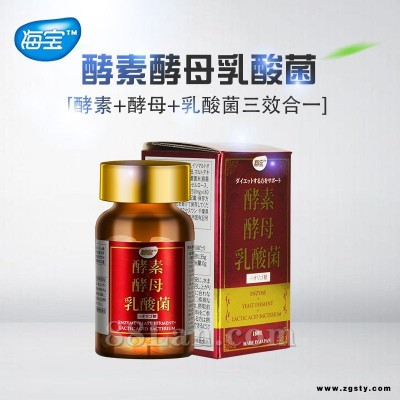 酵素酵母乳酸菌