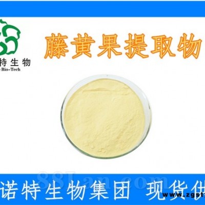 藤黄果提取物 有效成分含量高 水溶性99% 斯诺特生产厂家