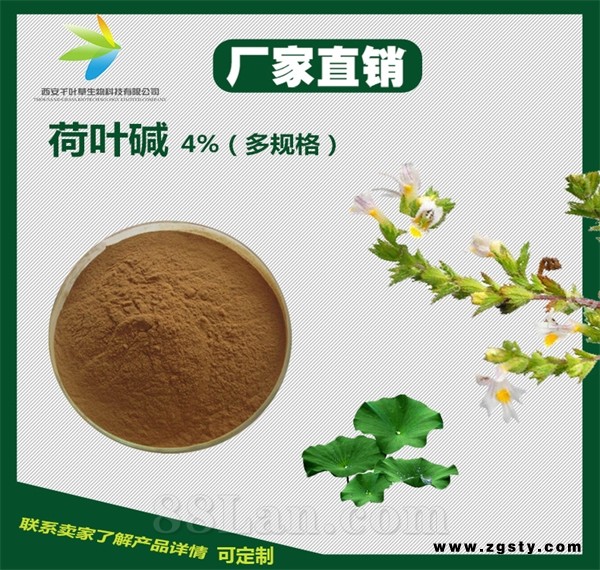 荷叶碱 减肥产品原料