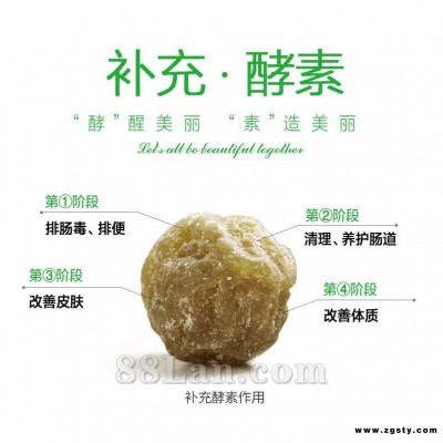 美容减脂辰韩酵素梅全国招商