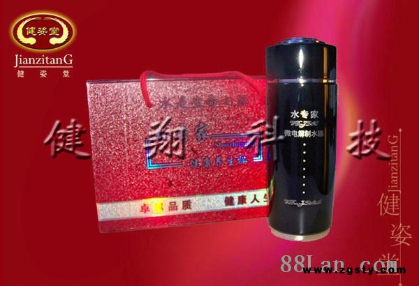 托玛琳弱碱性微电解水杯