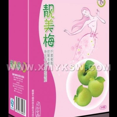美容 养颜 减肥 瘦身 丽元堂《靓美梅》