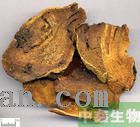 大黄提取物