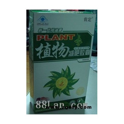 植物减肥胶囊