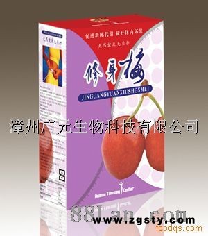 修身梅