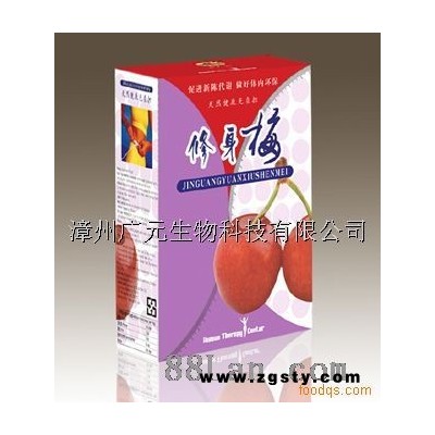 修身梅