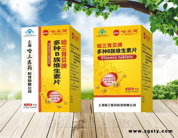 多种B族维生素片--安徽新阳