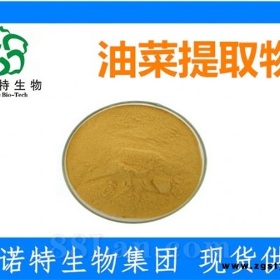 油菜提取物 油菜花粉 斯诺特厂家 高品质稳定供应
