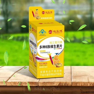 多种维生素B族片-上海哈三