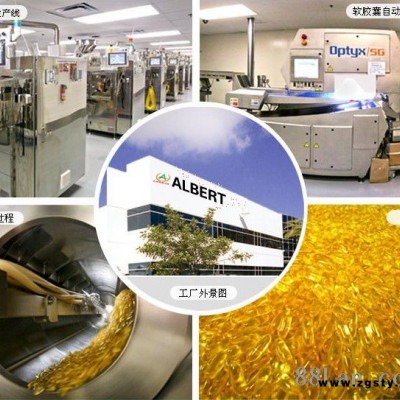 软硬胶囊、片剂等散粒供应、OEM
