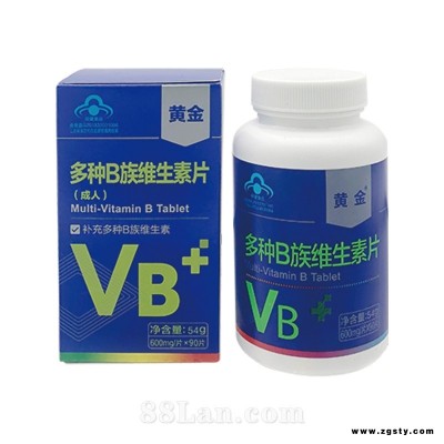 黄金牌多种B族维生素片（成人）