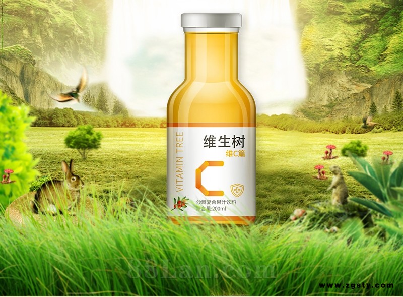 维生树沙棘果汁饮料