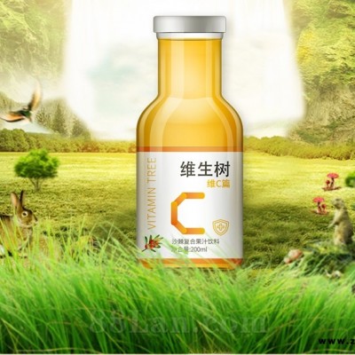 维生树沙棘果汁饮料