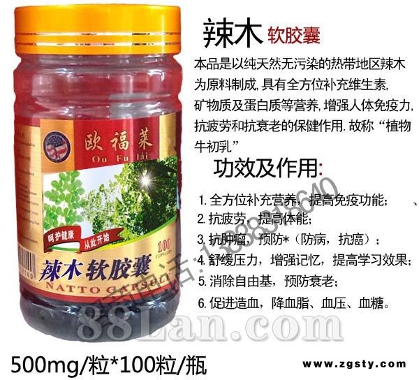 美国欧福莱辣木招商