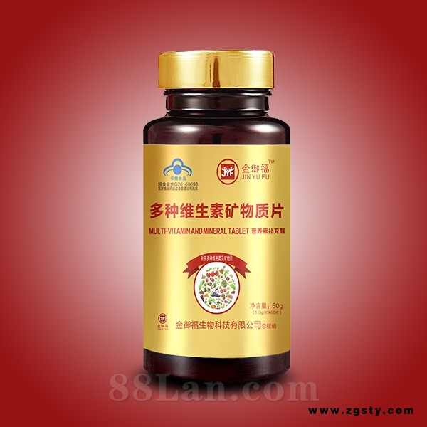 金御福多种维生素矿物质片 （1.0g/片*60片）