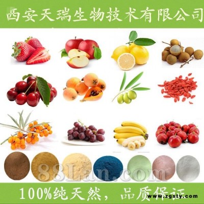 巴西莓果粉  巴西莓果汁粉 固体饮料压片糖果专用