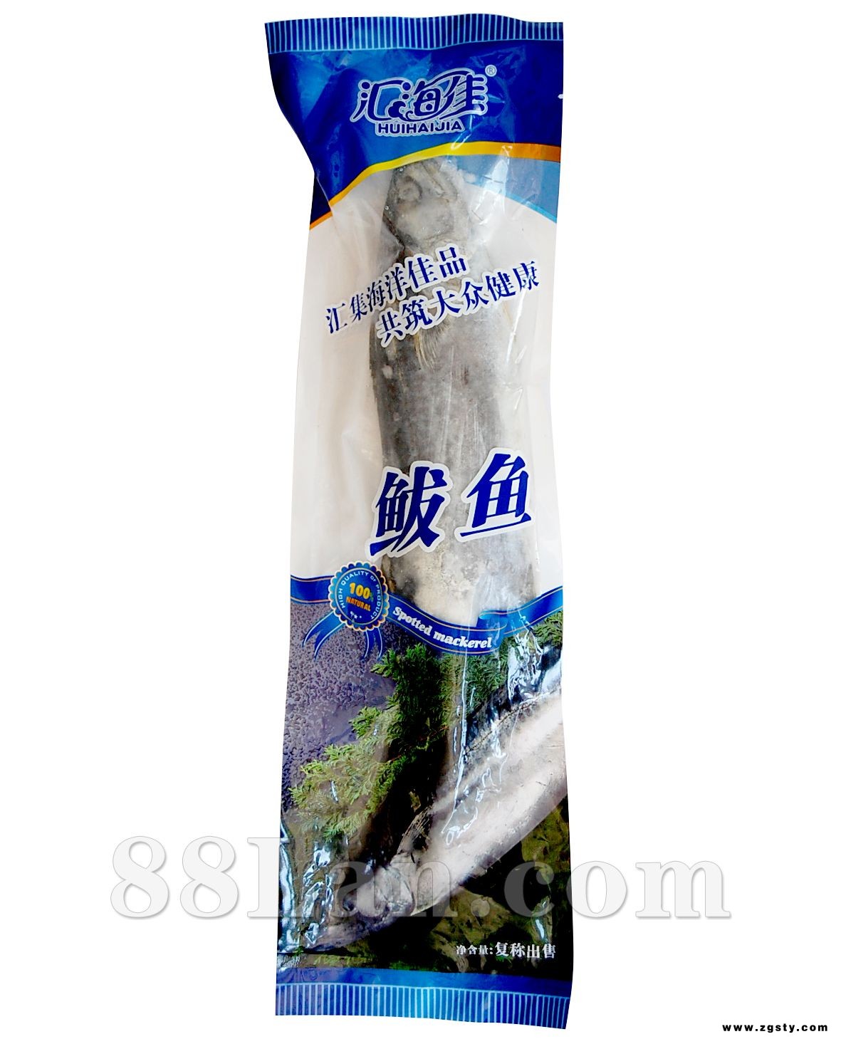 鲅鱼