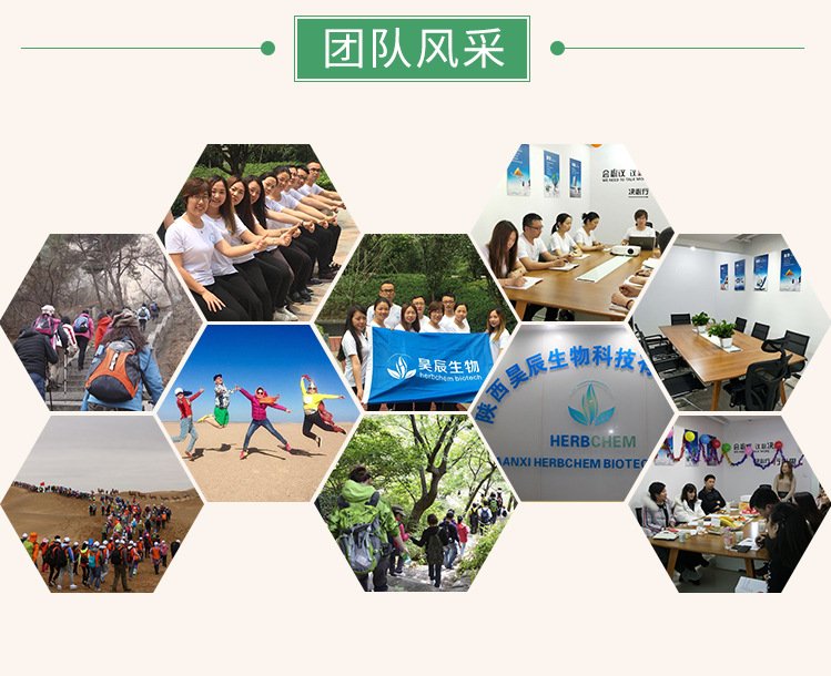 丝瓜提取物10:1  丝瓜络提取物  丝瓜皂甙  丝瓜粉  丝瓜提取粉示例图8