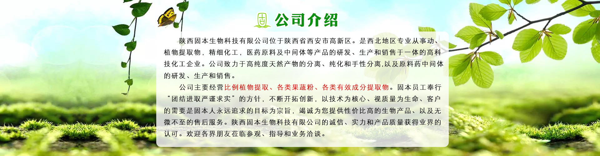 卡琪花蒂玛提取物 卡琪花蒂玛粉 保健品原料 10:1 现货包邮包退示例图2