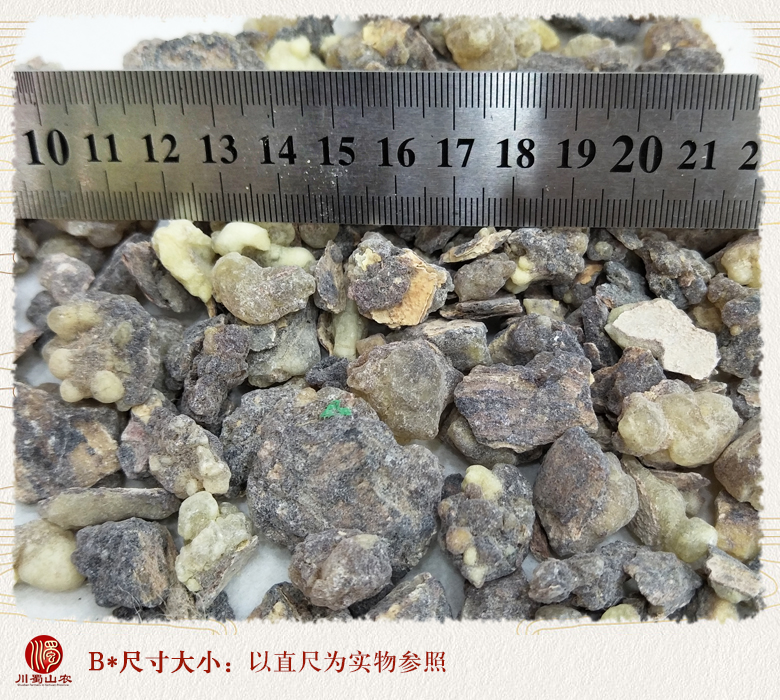 cstcssnruxianggezishengtong09.jpg